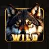 reel wolf wolf wild symbol