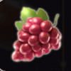 respin fruits grapes symbol