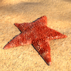 robinson starfish symbol