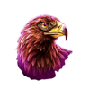 roo riches eagle symbol