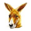 roo riches kangaroo symbol