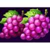 royal joker hold and win grapes symbol