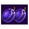 royal joker hold and win plum symbol