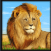 stampede lion symbol