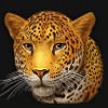 super cats jaguar symbol