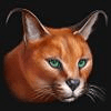 super cats wildcat symbol
