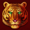 tiger stacks orangetiger symbol