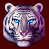 tiger stacks whitetiger symbol