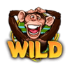 wacky monkey wild symbol