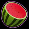 wild diamonds watermelon symbol