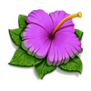 wild swarm purple flower symbol