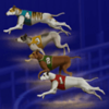 wildhound derby wild dogs symbol