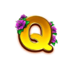 winfall in paradise q symbol