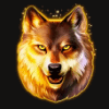 wolf night wild symbol