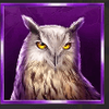 wolf story owl symbol