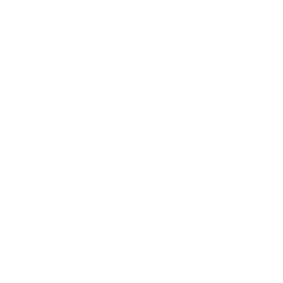 Carnival Slots