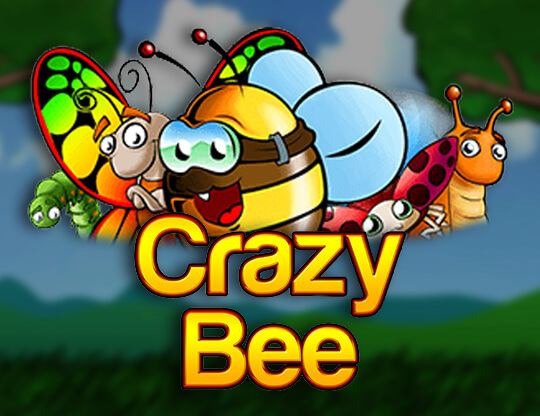Online slot Crazy Bee