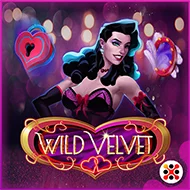 Online slot Wild Velvet