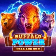 Slot Buffalo Power Hold & Win