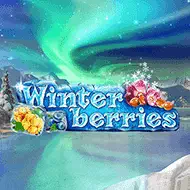 Online slot Winterberries
