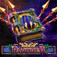 Online slot Book Of Panther