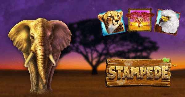 Experience the Wild Safari Adventure with Stampede Slot Game