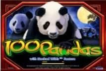 Slot 100 Pandas