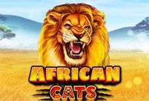 Slot Africa Cats
