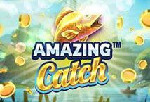 Slot Amazing Catch