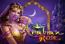 Slot Arabian Rose (Ainsworth)