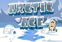Slot Arctic Ace