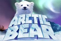 Slot Arctic Bear (Multislot)