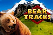 Slot Bear Tracks