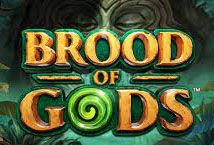 Slot Brood of Gods