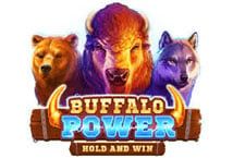 Slot Buffalo Power Hold and Win