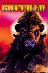 Slot Buffalo