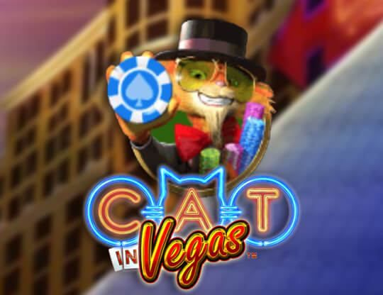 Slot Cat in Vegas