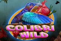 Slot Colibri Wild
