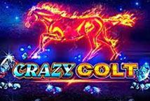 Slot Crazy Colt