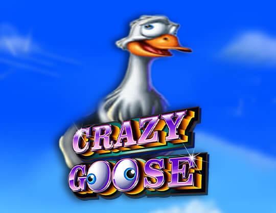 Slot Crazy Goose