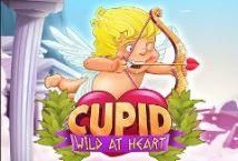 Slot Cupid Wild At Heart