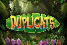 Slot Duplicats