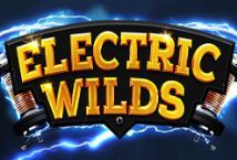Slot Electric Wilds