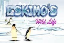 Slot Eskimos Wild Life