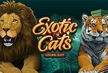 Slot Exotic Cats