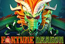 Slot Fortune Dragon (Gameplay Interactive)