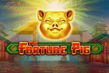 Slot Fortune Pig