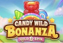 Slot Fruity Wild Bonanza Hold and Spin