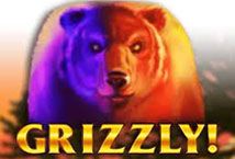 Slot Grizzly