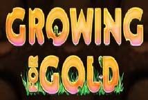 Slot Growing For Gold